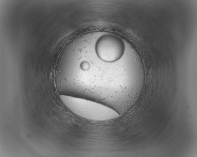 X0000081601302200701151043