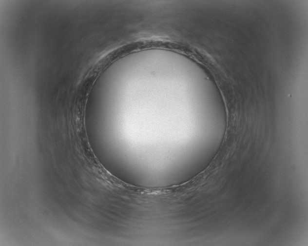 X0000081601303200701151043