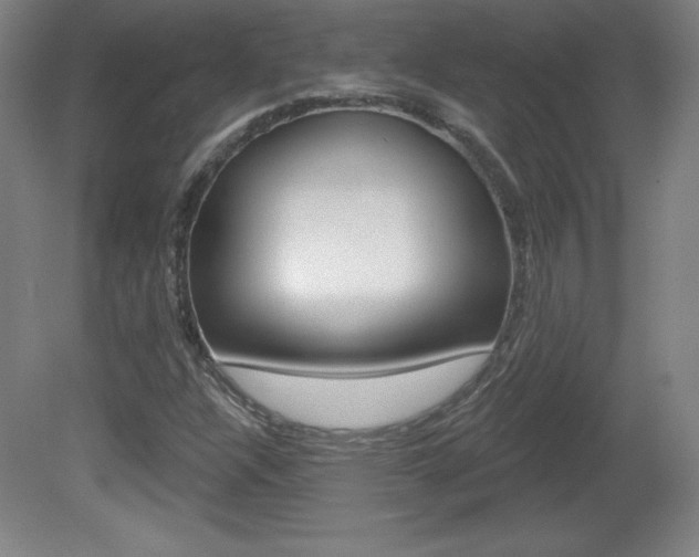 X0000081601304200701151043