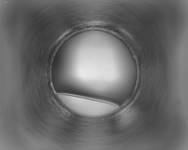 X0000081601305200701151043