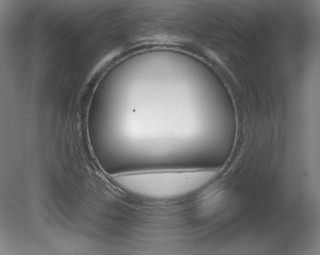 X0000081601307200701151043