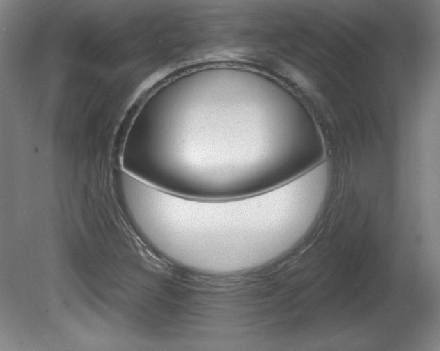 X0000081601308200701151043