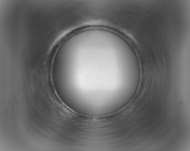 X0000081601311200701151043