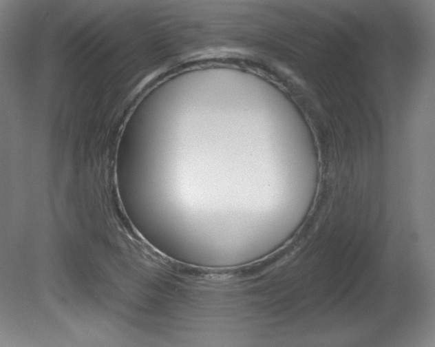 X0000081601313200701151043