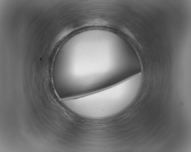 X0000081601315200701151043