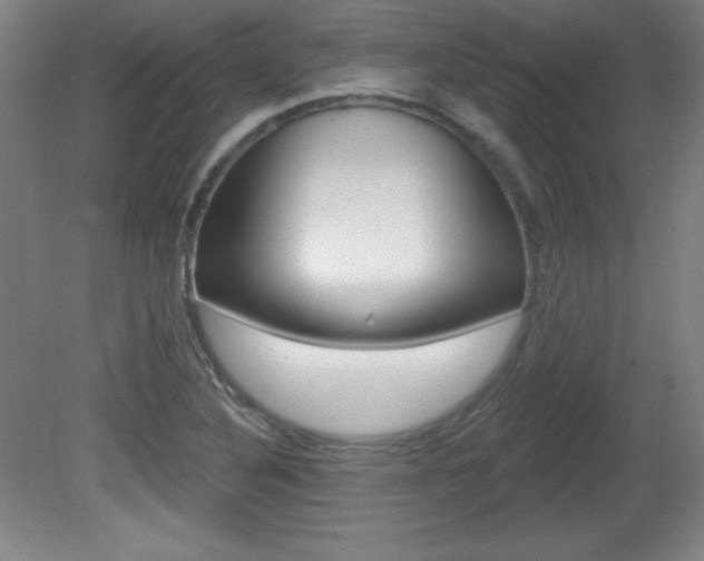 X0000081601316200701151043