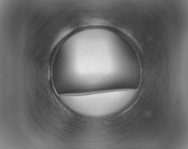 X0000081601317200701151043