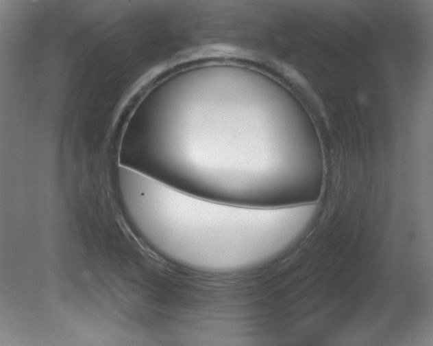 X0000081601318200701151043