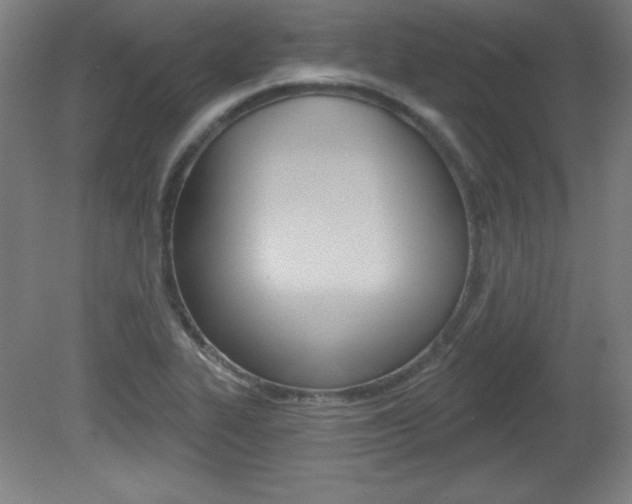 X0000081601319200701151043
