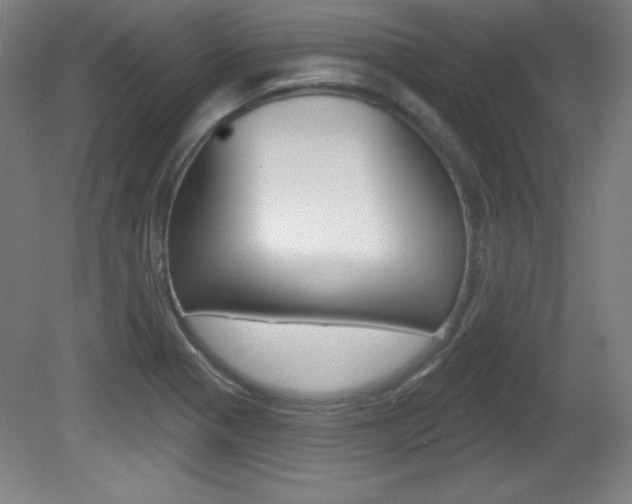 X0000081601321200701151043