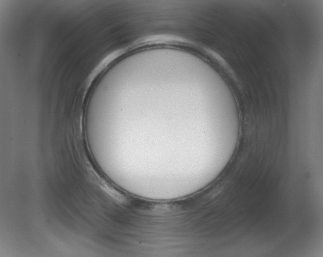 X0000081601322200701151043