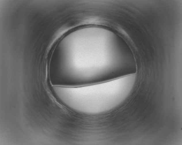X0000081601323200701151043