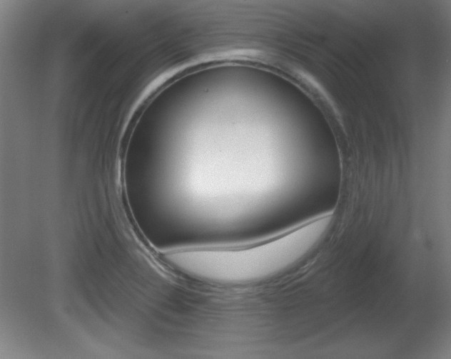 X0000081601324200701151043