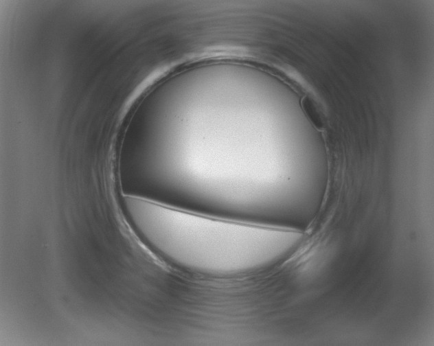 X0000081601325200701151043