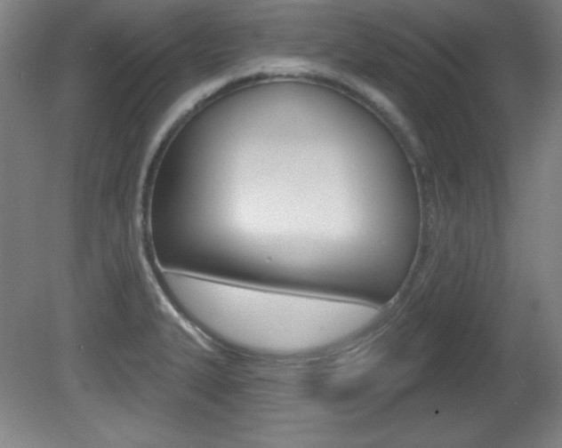 X0000081601327200701151043