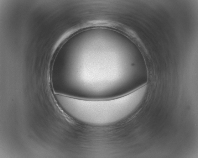 X0000081601328200701151043