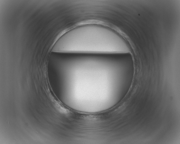 X0000081601329200701151043