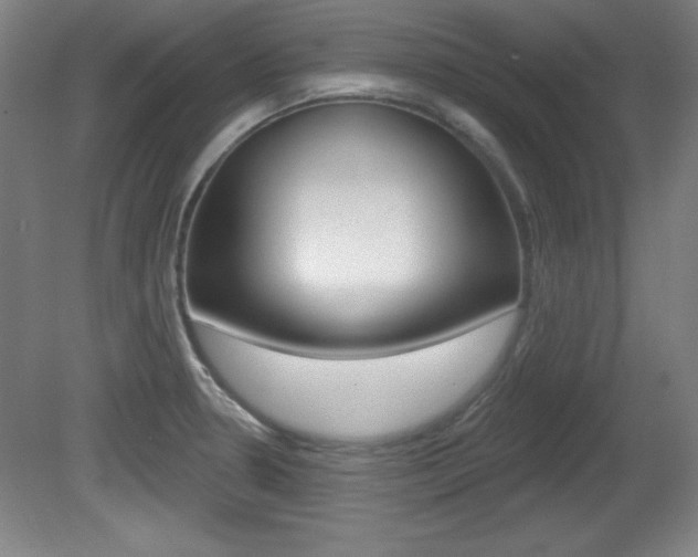 X0000081601330200701151044