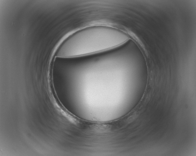 X0000081601331200701151044