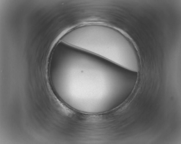X0000081601333200701151044