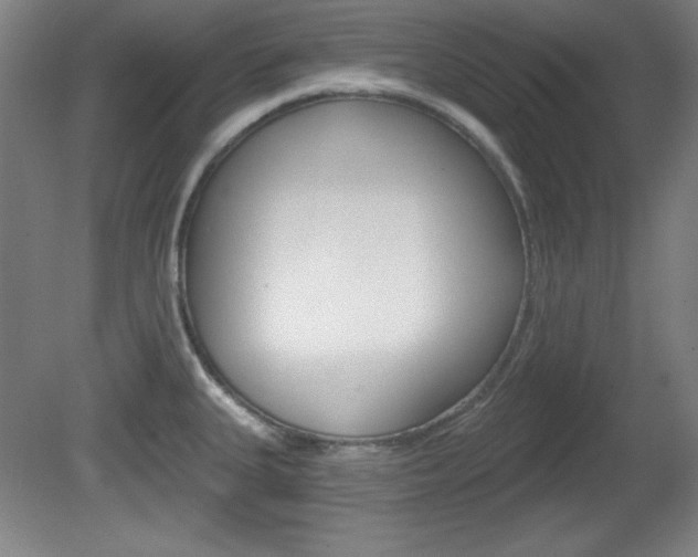 X0000081601335200701151044