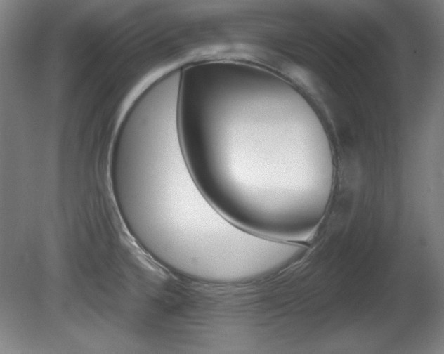 X0000081601336200701151044