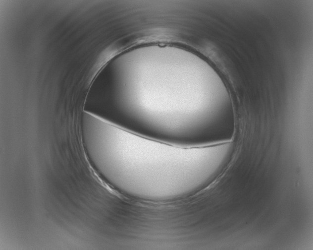 X0000081601337200701151044