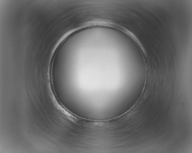 X0000081601339200701151044