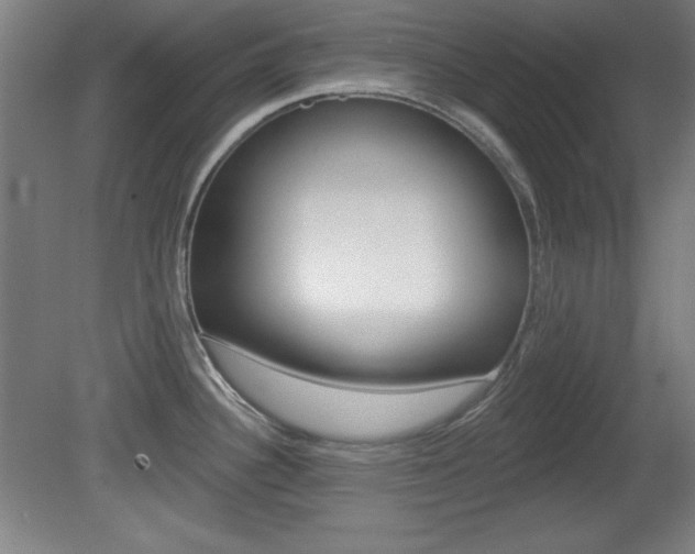 X0000081601340200701151044