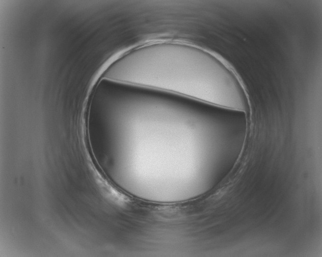 X0000081601341200701151044