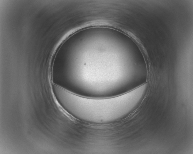 X0000081601342200701151044
