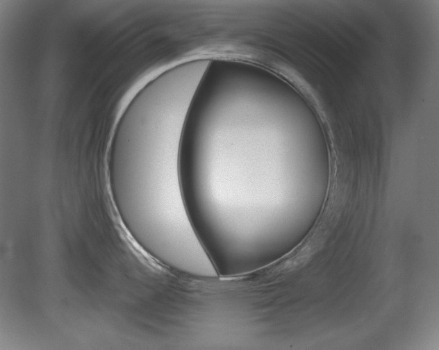 X0000081601344200701151044