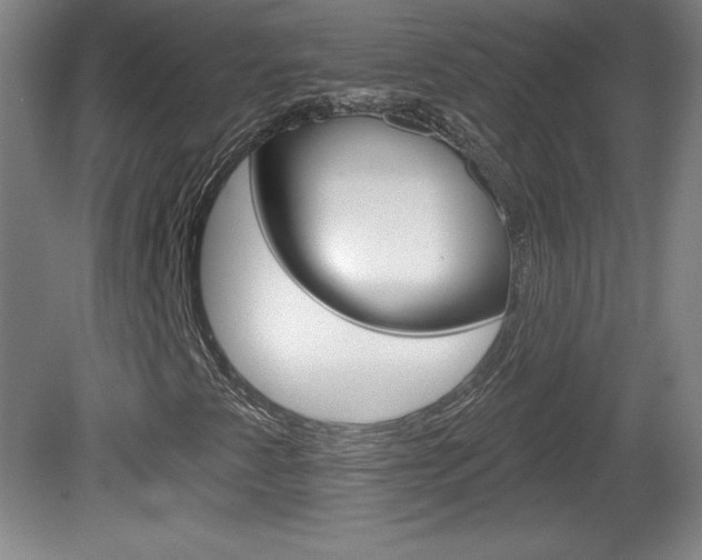 X0000081601345200701151043