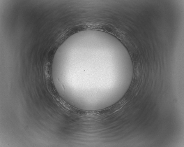 X0000081601346200701151043