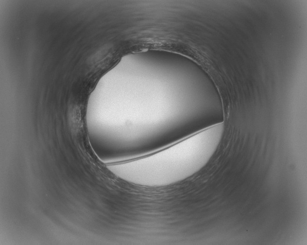 X0000081601347200701151043