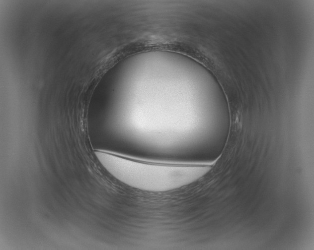 X0000081601348200701151043