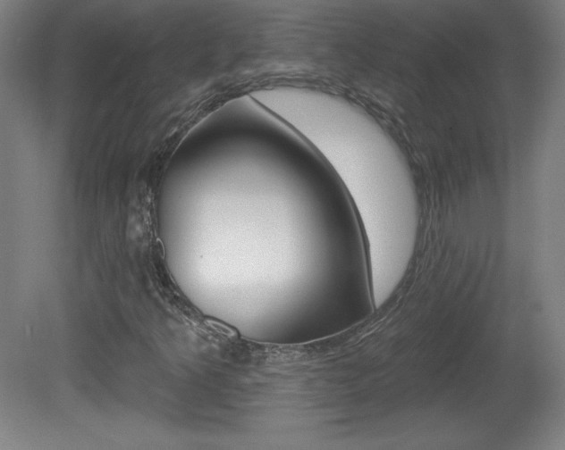 X0000081601349200701151043