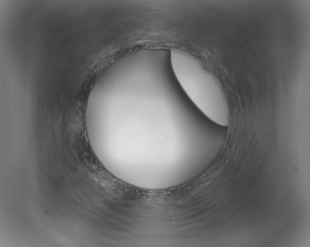 X0000081601350200701151043