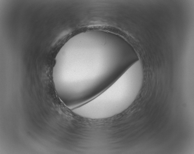 X0000081601351200701151043