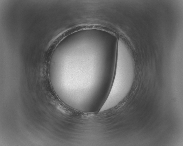 X0000081601352200701151043