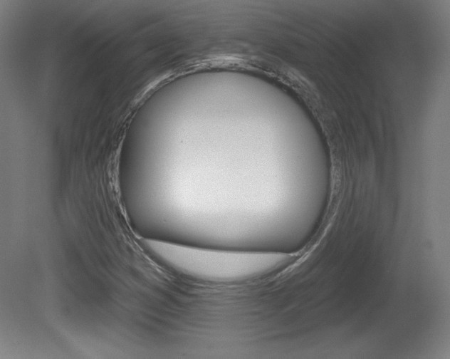 X0000081601353200701151043