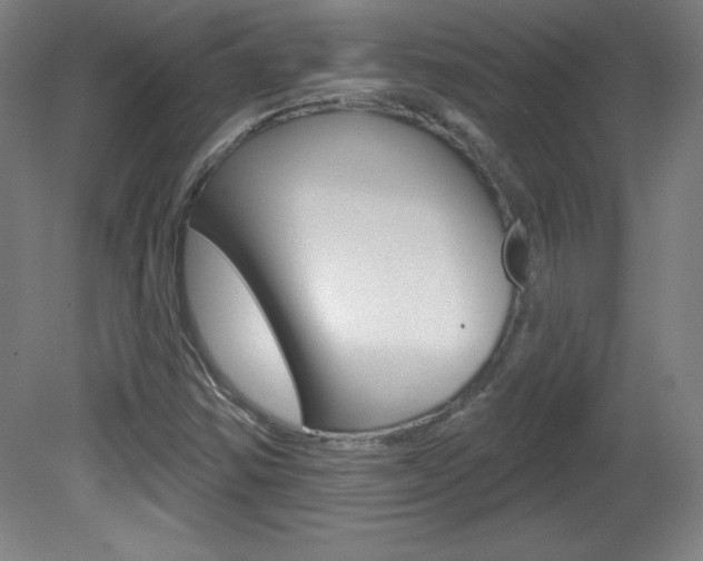 X0000081601354200701151043