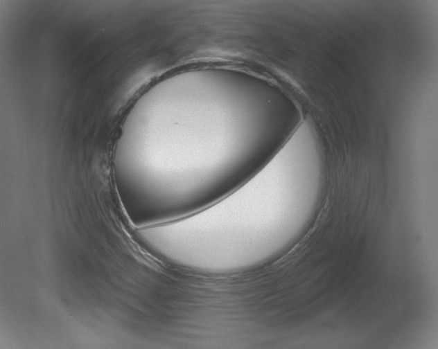 X0000081601355200701151043