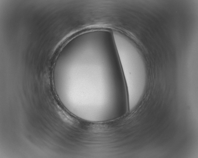 X0000081601356200701151043