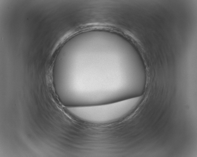 X0000081601357200701151043