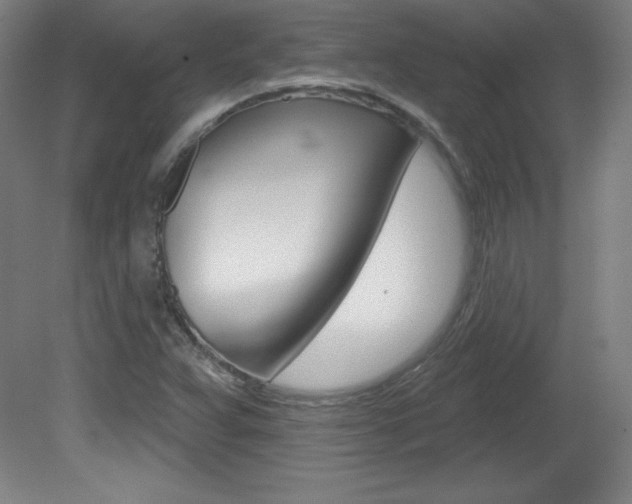 X0000081601359200701151043