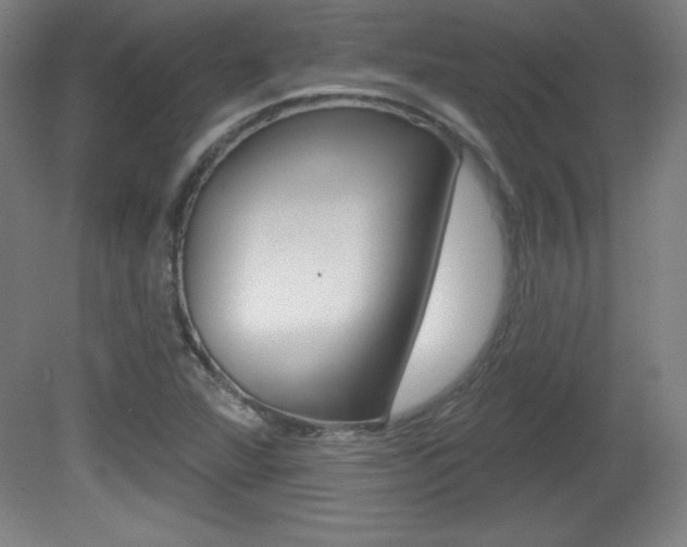 X0000081601360200701151043