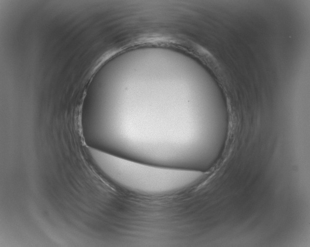 X0000081601361200701151043