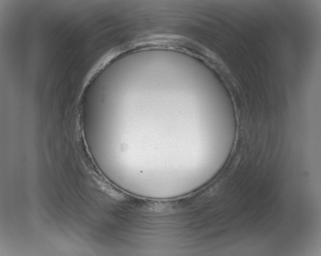 X0000081601362200701151043