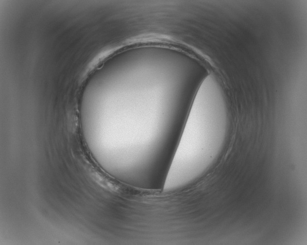 X0000081601363200701151043